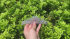 Crystal Queen Crown Silver Rhinestone Bridal Tiara Headband Pageant Prom Wedding Hair Jewelry